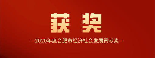 又得一獎(jiǎng)！中水三立喜獲2020年度合肥市經(jīng)濟(jì)社會(huì)發(fā)展貢獻(xiàn)獎(jiǎng)