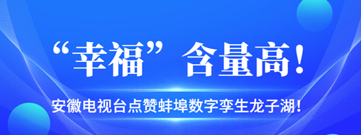 ?“幸?！焙扛?，安徽電視臺點贊蚌埠數(shù)字孿生龍子湖！